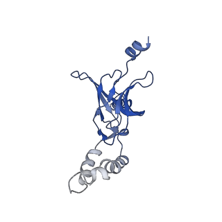 30525_7d06_H_v1-1
Cryo EM structure of the nucleotide free Acinetobacter MlaFEDB complex