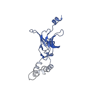 30525_7d06_H_v1-2
Cryo EM structure of the nucleotide free Acinetobacter MlaFEDB complex