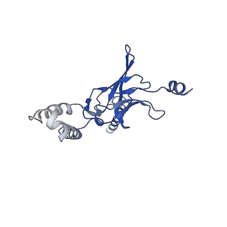 30525_7d06_I_v1-1
Cryo EM structure of the nucleotide free Acinetobacter MlaFEDB complex