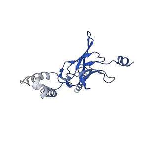 30525_7d06_I_v1-2
Cryo EM structure of the nucleotide free Acinetobacter MlaFEDB complex