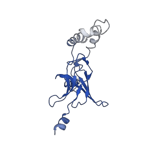 30525_7d06_K_v1-1
Cryo EM structure of the nucleotide free Acinetobacter MlaFEDB complex