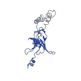 30525_7d06_K_v1-2
Cryo EM structure of the nucleotide free Acinetobacter MlaFEDB complex