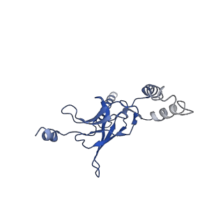 30525_7d06_L_v1-1
Cryo EM structure of the nucleotide free Acinetobacter MlaFEDB complex