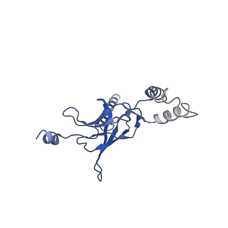 30525_7d06_L_v1-2
Cryo EM structure of the nucleotide free Acinetobacter MlaFEDB complex