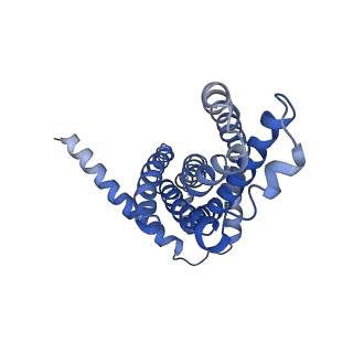 30526_7d08_A_v1-1
Acinetobacter MlaFEDB complex in ATP-bound Vtrans1 conformation