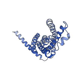 30526_7d08_A_v1-2
Acinetobacter MlaFEDB complex in ATP-bound Vtrans1 conformation