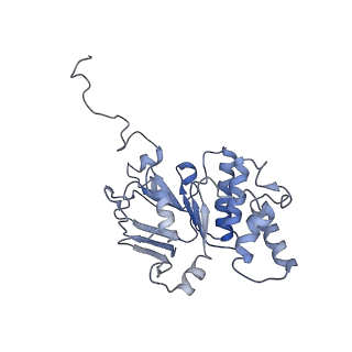 30526_7d08_B_v1-1
Acinetobacter MlaFEDB complex in ATP-bound Vtrans1 conformation