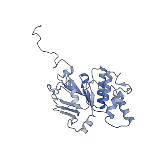 30526_7d08_B_v1-2
Acinetobacter MlaFEDB complex in ATP-bound Vtrans1 conformation