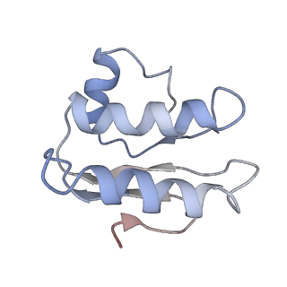 30526_7d08_C_v1-1
Acinetobacter MlaFEDB complex in ATP-bound Vtrans1 conformation