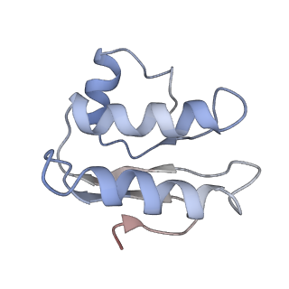 30526_7d08_C_v1-2
Acinetobacter MlaFEDB complex in ATP-bound Vtrans1 conformation