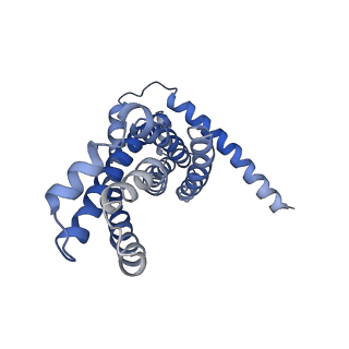 30526_7d08_D_v1-1
Acinetobacter MlaFEDB complex in ATP-bound Vtrans1 conformation