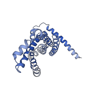 30526_7d08_D_v1-2
Acinetobacter MlaFEDB complex in ATP-bound Vtrans1 conformation