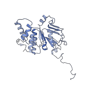 30526_7d08_E_v1-1
Acinetobacter MlaFEDB complex in ATP-bound Vtrans1 conformation