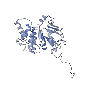 30526_7d08_E_v1-2
Acinetobacter MlaFEDB complex in ATP-bound Vtrans1 conformation