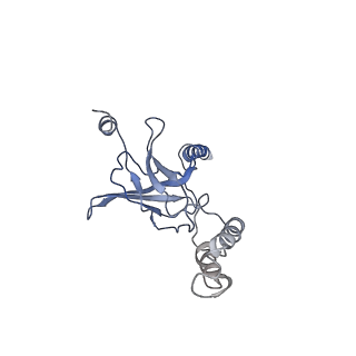 30526_7d08_G_v1-1
Acinetobacter MlaFEDB complex in ATP-bound Vtrans1 conformation