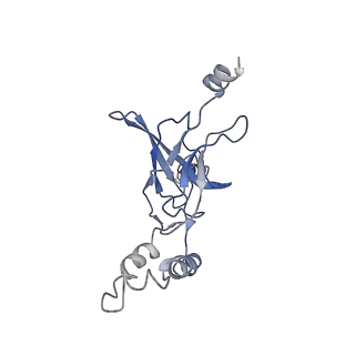 30526_7d08_H_v1-1
Acinetobacter MlaFEDB complex in ATP-bound Vtrans1 conformation