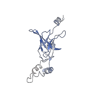 30526_7d08_H_v1-2
Acinetobacter MlaFEDB complex in ATP-bound Vtrans1 conformation