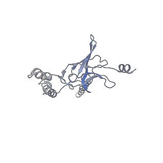 30526_7d08_I_v1-1
Acinetobacter MlaFEDB complex in ATP-bound Vtrans1 conformation