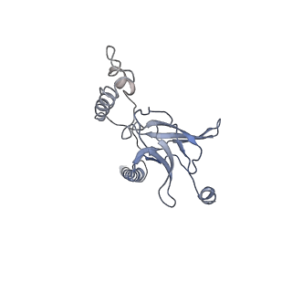 30526_7d08_J_v1-2
Acinetobacter MlaFEDB complex in ATP-bound Vtrans1 conformation