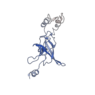 30526_7d08_K_v1-1
Acinetobacter MlaFEDB complex in ATP-bound Vtrans1 conformation