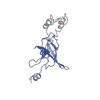 30526_7d08_K_v1-2
Acinetobacter MlaFEDB complex in ATP-bound Vtrans1 conformation