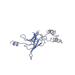 30526_7d08_L_v1-1
Acinetobacter MlaFEDB complex in ATP-bound Vtrans1 conformation