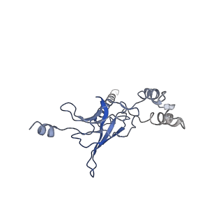 30526_7d08_L_v1-2
Acinetobacter MlaFEDB complex in ATP-bound Vtrans1 conformation