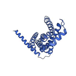 30527_7d09_A_v1-2
Acinetobacter MlaFEDB complex in ATP-bound Vtrans2 conformation