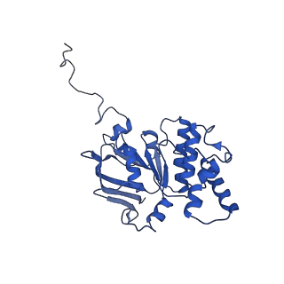 30527_7d09_B_v1-1
Acinetobacter MlaFEDB complex in ATP-bound Vtrans2 conformation