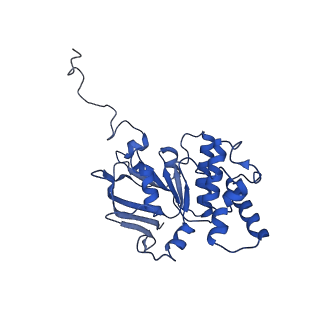 30527_7d09_B_v1-2
Acinetobacter MlaFEDB complex in ATP-bound Vtrans2 conformation