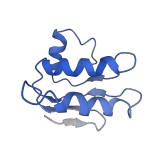 30527_7d09_C_v1-1
Acinetobacter MlaFEDB complex in ATP-bound Vtrans2 conformation