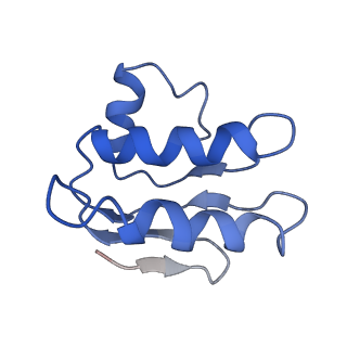 30527_7d09_C_v1-2
Acinetobacter MlaFEDB complex in ATP-bound Vtrans2 conformation