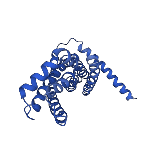 30527_7d09_D_v1-1
Acinetobacter MlaFEDB complex in ATP-bound Vtrans2 conformation