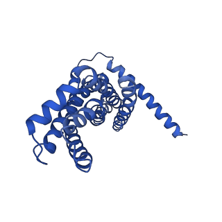 30527_7d09_D_v1-2
Acinetobacter MlaFEDB complex in ATP-bound Vtrans2 conformation