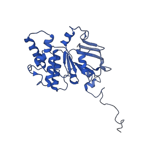 30527_7d09_E_v1-1
Acinetobacter MlaFEDB complex in ATP-bound Vtrans2 conformation