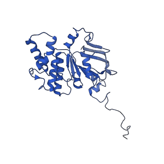 30527_7d09_E_v1-2
Acinetobacter MlaFEDB complex in ATP-bound Vtrans2 conformation