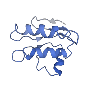 30527_7d09_F_v1-1
Acinetobacter MlaFEDB complex in ATP-bound Vtrans2 conformation