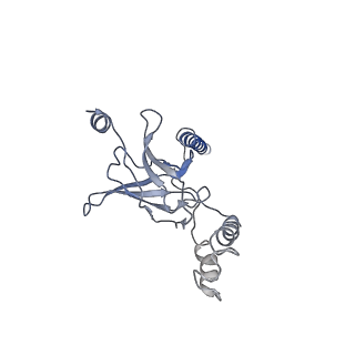 30527_7d09_G_v1-1
Acinetobacter MlaFEDB complex in ATP-bound Vtrans2 conformation
