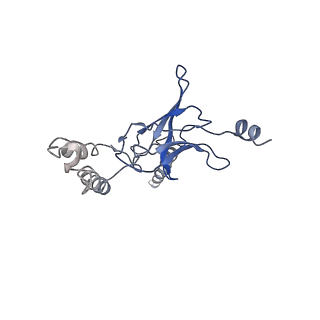 30527_7d09_I_v1-1
Acinetobacter MlaFEDB complex in ATP-bound Vtrans2 conformation