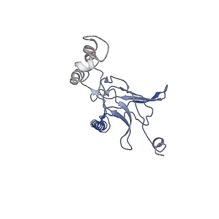 30527_7d09_J_v1-2
Acinetobacter MlaFEDB complex in ATP-bound Vtrans2 conformation