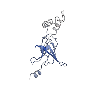 30527_7d09_K_v1-1
Acinetobacter MlaFEDB complex in ATP-bound Vtrans2 conformation