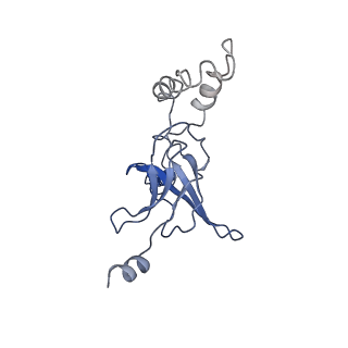 30527_7d09_K_v1-2
Acinetobacter MlaFEDB complex in ATP-bound Vtrans2 conformation