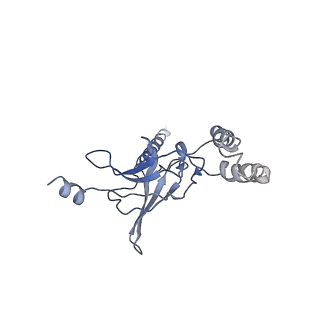 30527_7d09_L_v1-1
Acinetobacter MlaFEDB complex in ATP-bound Vtrans2 conformation