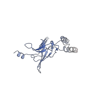 30527_7d09_L_v1-2
Acinetobacter MlaFEDB complex in ATP-bound Vtrans2 conformation