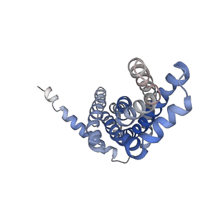 30528_7d0a_A_v1-1
Acinetobacter MlaFEDB complex in ADP-vanadate trapped Vclose conformation