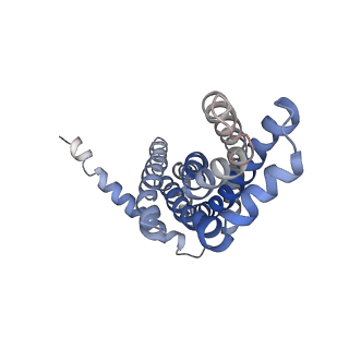 30528_7d0a_A_v1-2
Acinetobacter MlaFEDB complex in ADP-vanadate trapped Vclose conformation