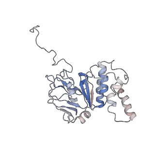 30528_7d0a_B_v1-1
Acinetobacter MlaFEDB complex in ADP-vanadate trapped Vclose conformation