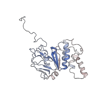 30528_7d0a_B_v1-2
Acinetobacter MlaFEDB complex in ADP-vanadate trapped Vclose conformation