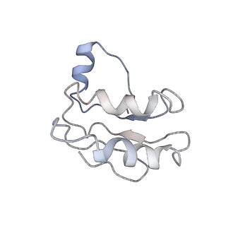 30528_7d0a_C_v1-1
Acinetobacter MlaFEDB complex in ADP-vanadate trapped Vclose conformation