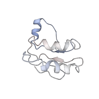 30528_7d0a_C_v1-2
Acinetobacter MlaFEDB complex in ADP-vanadate trapped Vclose conformation